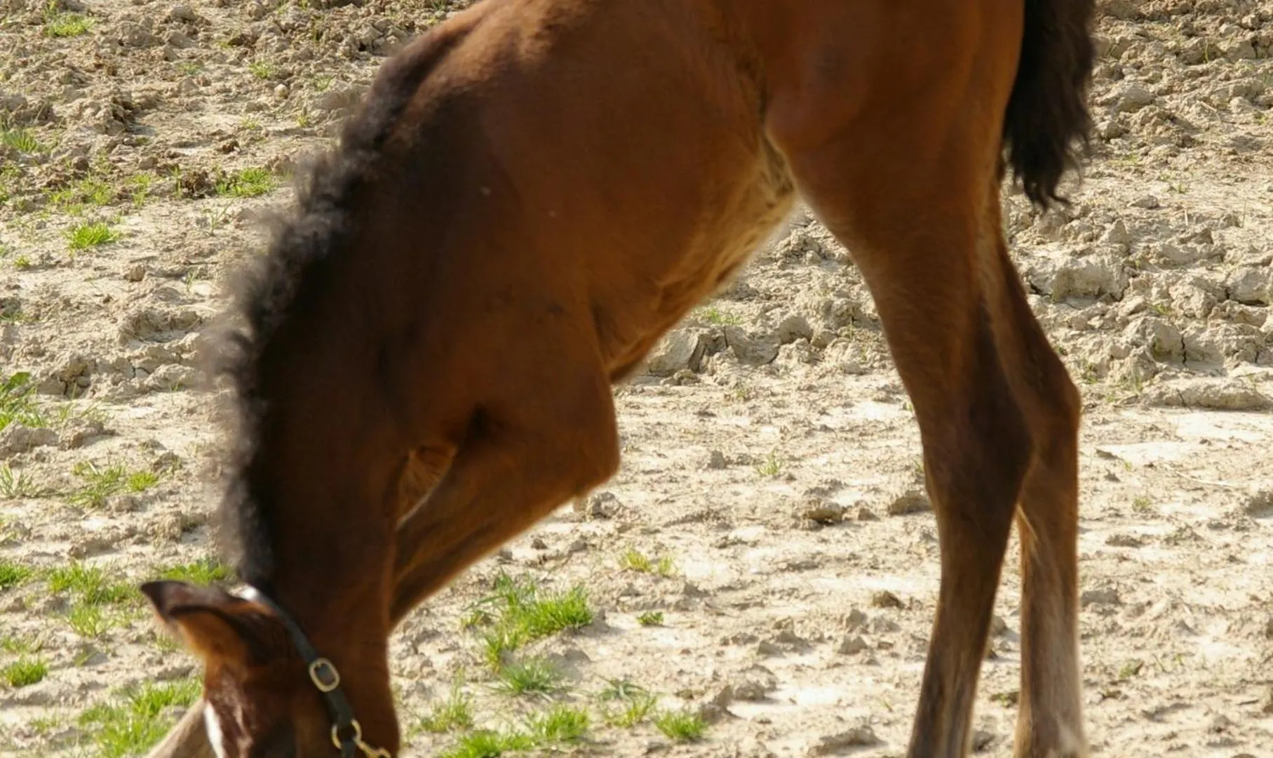 Santa Maria A Poneta Villa Barberino Val d'Elsa